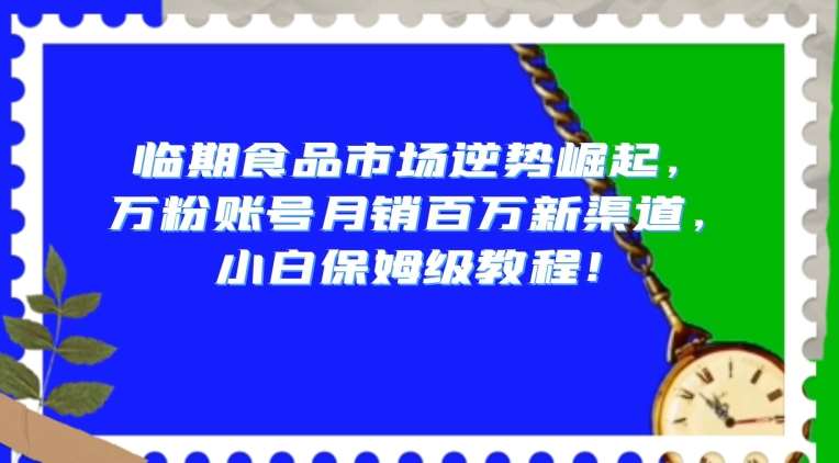 临期食品市场逆势崛起，万粉账号月销百万新渠道，小白保姆级教程【揭秘】瀚萌资源网-网赚网-网赚项目网-虚拟资源网-国学资源网-易学资源网-本站有全网最新网赚项目-易学课程资源-中医课程资源的在线下载网站！瀚萌资源网