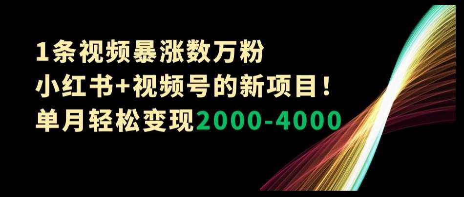 1条视频暴涨数万粉–小红书+视频号的新项目!单月轻松变现2000-4000【揭秘】瀚萌资源网-网赚网-网赚项目网-虚拟资源网-国学资源网-易学资源网-本站有全网最新网赚项目-易学课程资源-中医课程资源的在线下载网站!瀚萌资源网