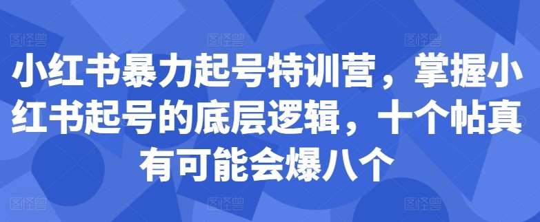 小红书暴力起号特训营，掌握小红书起号的底层逻辑，十个帖真有可能会爆八个瀚萌资源网-网赚网-网赚项目网-虚拟资源网-国学资源网-易学资源网-本站有全网最新网赚项目-易学课程资源-中医课程资源的在线下载网站！瀚萌资源网