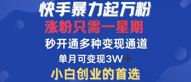 快手暴力起万粉，涨粉只需一星期，多种变现模式，直接秒开万合，单月变现过W【揭秘】瀚萌资源网-网赚网-网赚项目网-虚拟资源网-国学资源网-易学资源网-本站有全网最新网赚项目-易学课程资源-中医课程资源的在线下载网站！瀚萌资源网