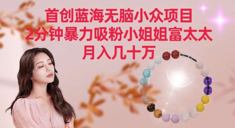 首创蓝海无脑小众项目，2分钟暴力吸粉小姐姐富太太，月入几十万【揭秘】瀚萌资源网-网赚网-网赚项目网-虚拟资源网-国学资源网-易学资源网-本站有全网最新网赚项目-易学课程资源-中医课程资源的在线下载网站！瀚萌资源网