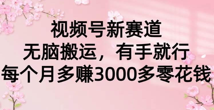 （9278期）视频号新赛道，无脑搬运，有手就行，每个月多赚3000多零花钱瀚萌资源网-网赚网-网赚项目网-虚拟资源网-国学资源网-易学资源网-本站有全网最新网赚项目-易学课程资源-中医课程资源的在线下载网站！瀚萌资源网