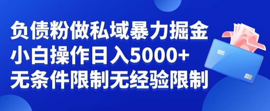 负债粉私域暴力掘金，小白操作入5000，无经验限制，无条件限制【揭秘】瀚萌资源网-网赚网-网赚项目网-虚拟资源网-国学资源网-易学资源网-本站有全网最新网赚项目-易学课程资源-中医课程资源的在线下载网站！瀚萌资源网