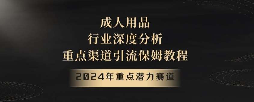 2024年重点潜力赛道，成人用品行业深度分析，重点渠道引流保姆教程【揭秘】瀚萌资源网-网赚网-网赚项目网-虚拟资源网-国学资源网-易学资源网-本站有全网最新网赚项目-易学课程资源-中医课程资源的在线下载网站！瀚萌资源网
