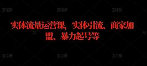 实体流量运营课，实体引流、商家加盟、暴力起号等瀚萌资源网-网赚网-网赚项目网-虚拟资源网-国学资源网-易学资源网-本站有全网最新网赚项目-易学课程资源-中医课程资源的在线下载网站！瀚萌资源网