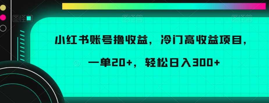 小红书账号撸收益，冷门高收益项目，一单20+，轻松日入300+【揭秘】瀚萌资源网-网赚网-网赚项目网-虚拟资源网-国学资源网-易学资源网-本站有全网最新网赚项目-易学课程资源-中医课程资源的在线下载网站！瀚萌资源网