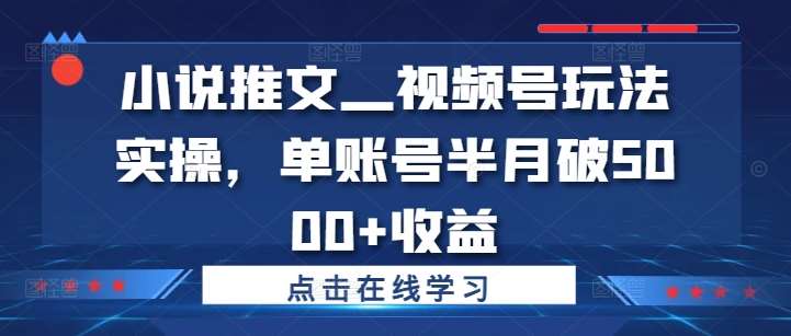 小说推文—视频号玩法实操，单账号半月破5000+收益瀚萌资源网-网赚网-网赚项目网-虚拟资源网-国学资源网-易学资源网-本站有全网最新网赚项目-易学课程资源-中医课程资源的在线下载网站！瀚萌资源网