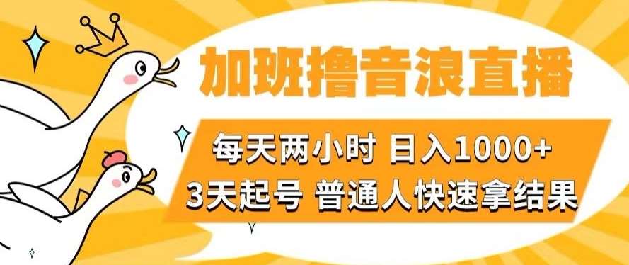 加班撸音浪直播，每天两小时，日入1000+，直播话术才3句，3天起号，普通人快速拿结果【揭秘】瀚萌资源网-网赚网-网赚项目网-虚拟资源网-国学资源网-易学资源网-本站有全网最新网赚项目-易学课程资源-中医课程资源的在线下载网站！瀚萌资源网