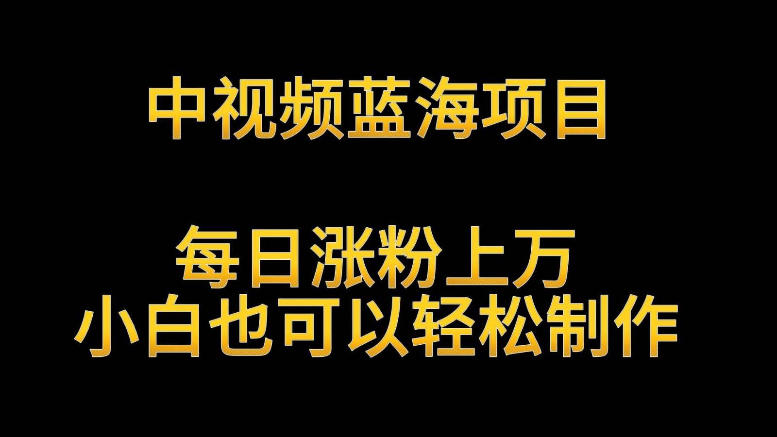 中视频蓝海项目，解读英雄人物生平，每日涨粉上万，小白也可以轻松制作，月入过万瀚萌资源网-网赚网-网赚项目网-虚拟资源网-国学资源网-易学资源网-本站有全网最新网赚项目-易学课程资源-中医课程资源的在线下载网站！瀚萌资源网