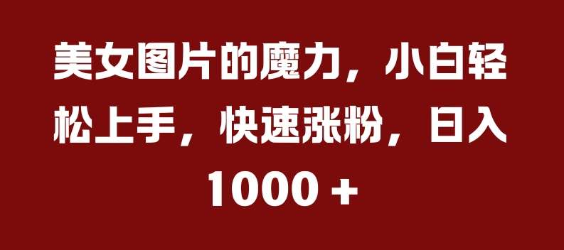 美女图片的魔力，小白轻松上手，快速涨粉，日入几张【揭秘】-瀚萌资源网-网赚网-网赚项目网-虚拟资源网-国学资源网-易学资源网-本站有全网最新网赚项目-易学课程资源-中医课程资源的在线下载网站！瀚萌资源网