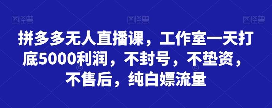 拼多多无人直播课，工作室一天打底5000利润，不封号，不垫资，不售后，纯白嫖流量瀚萌资源网-网赚网-网赚项目网-虚拟资源网-国学资源网-易学资源网-本站有全网最新网赚项目-易学课程资源-中医课程资源的在线下载网站！瀚萌资源网