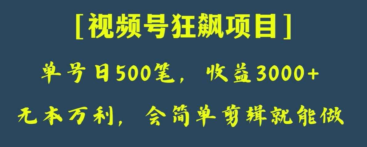 日收款500笔，纯利润3000+，视频号狂飙项目，会简单剪辑就能做【揭秘】瀚萌资源网-网赚网-网赚项目网-虚拟资源网-国学资源网-易学资源网-本站有全网最新网赚项目-易学课程资源-中医课程资源的在线下载网站！瀚萌资源网