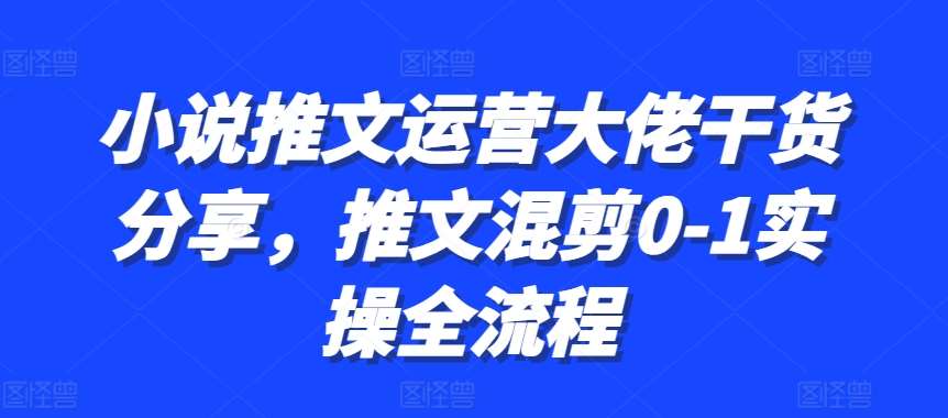 小说推文运营大佬干货分享，推文混剪0-1实操全流程-瀚萌资源网-网赚网-网赚项目网-虚拟资源网-国学资源网-易学资源网-本站有全网最新网赚项目-易学课程资源-中医课程资源的在线下载网站！瀚萌资源网