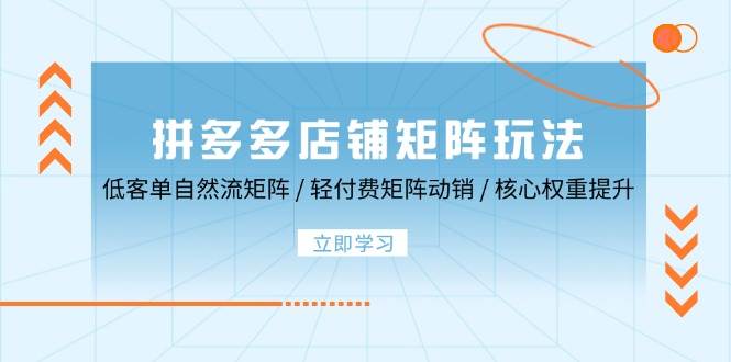 （12720期）拼多多店铺矩阵玩法：低客单自然流矩阵 / 轻付费矩阵 动销 / 核心权重提升-瀚萌资源网-网赚网-网赚项目网-虚拟资源网-国学资源网-易学资源网-本站有全网最新网赚项目-易学课程资源-中医课程资源的在线下载网站！瀚萌资源网