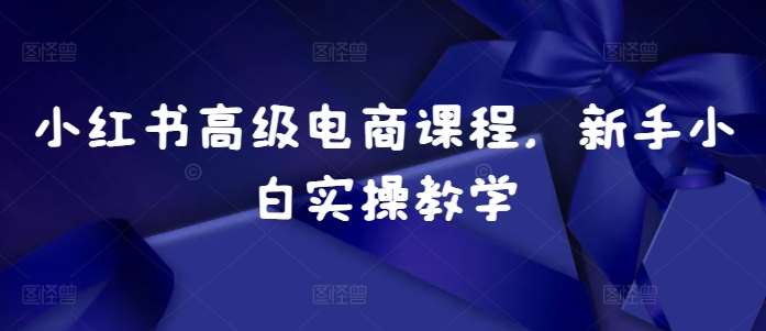 小红书高级电商课程，新手小白实操教学-瀚萌资源网