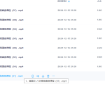 Y2411-45 崔国文2024面授八字8集瀚萌资源网-网赚网-网赚项目网-虚拟资源网-国学资源网-易学资源网-本站有全网最新网赚项目-易学课程资源-中医课程资源的在线下载网站！瀚萌资源网