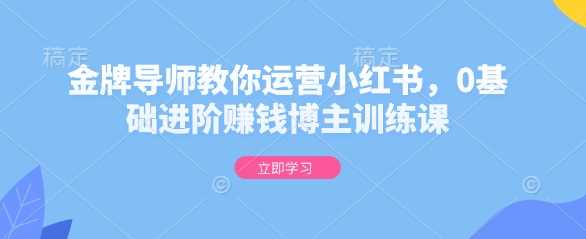 金牌导师教你运营小红书，0基础进阶赚钱博主训练课瀚萌资源网-网赚网-网赚项目网-虚拟资源网-国学资源网-易学资源网-本站有全网最新网赚项目-易学课程资源-中医课程资源的在线下载网站！瀚萌资源网