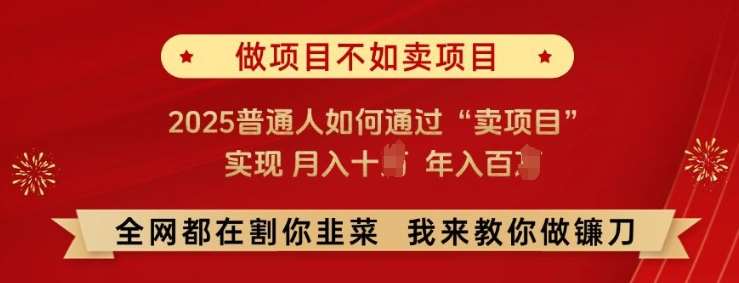 必看!做项目不如卖项目，2025普通人如何通过“卖项目”实现月入十个，年入百个【揭秘】瀚萌资源网-网赚网-网赚项目网-虚拟资源网-国学资源网-易学资源网-本站有全网最新网赚项目-易学课程资源-中医课程资源的在线下载网站！瀚萌资源网