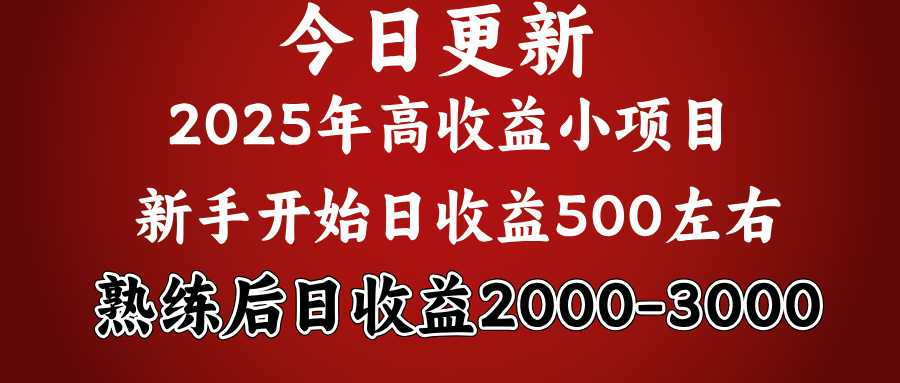 2025开年好项目,新手日收益500+ 熟练掌握后,日收益平均2000多瀚萌资源网-网赚网-网赚项目网-虚拟资源网-国学资源网-易学资源网-本站有全网最新网赚项目-易学课程资源-中医课程资源的在线下载网站!瀚萌资源网