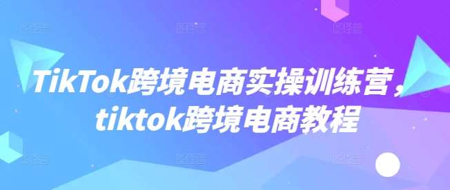 TikTok跨境电商实操训练营，tiktok跨境电商教程瀚萌资源网-网赚网-网赚项目网-虚拟资源网-国学资源网-易学资源网-本站有全网最新网赚项目-易学课程资源-中医课程资源的在线下载网站！瀚萌资源网