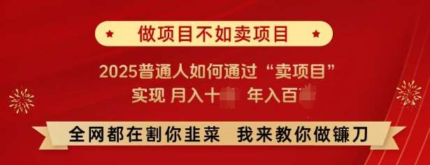 必看，做项目不如卖项目，2025普通人如何通过“卖项目”实现月入十个，年入百个瀚萌资源网-网赚网-网赚项目网-虚拟资源网-国学资源网-易学资源网-本站有全网最新网赚项目-易学课程资源-中医课程资源的在线下载网站！瀚萌资源网