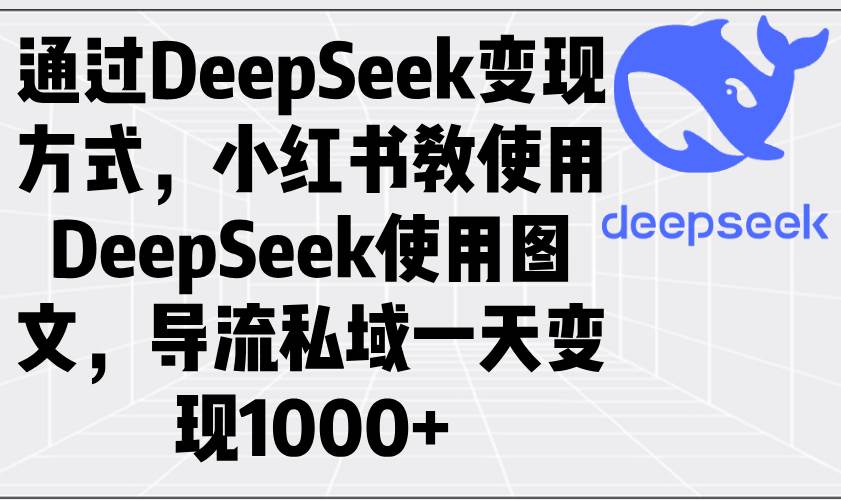 （14179期）通过DeepSeek变现方式，小红书教使用DeepSeek图文，导流私域一天变现1000+瀚萌资源网-网赚网-网赚项目网-虚拟资源网-国学资源网-易学资源网-本站有全网最新网赚项目-易学课程资源-中医课程资源的在线下载网站！瀚萌资源网