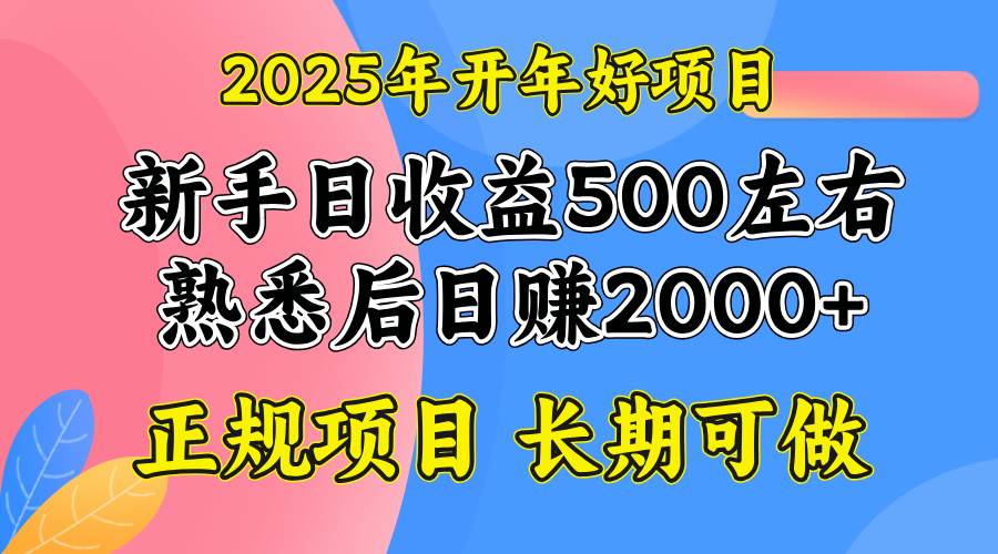 （14076期）2025开年好项目，单号日收益2000左右瀚萌资源网-网赚网-网赚项目网-虚拟资源网-国学资源网-易学资源网-本站有全网最新网赚项目-易学课程资源-中医课程资源的在线下载网站！瀚萌资源网