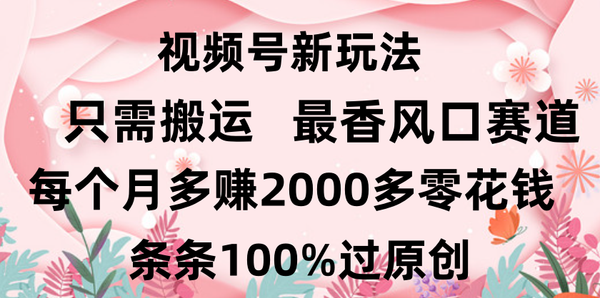 日入2000+，条条100%过原创，视频号最香风口赛道，小白轻松上手瀚萌资源网-网赚网-网赚项目网-虚拟资源网-国学资源网-易学资源网-本站有全网最新网赚项目-易学课程资源-中医课程资源的在线下载网站！瀚萌资源网