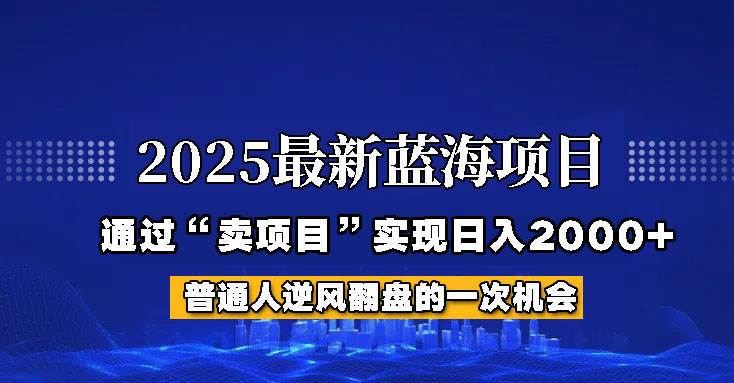 2025年蓝海项目，如何通过“网创项目”日入2000+瀚萌资源网-网赚网-网赚项目网-虚拟资源网-国学资源网-易学资源网-本站有全网最新网赚项目-易学课程资源-中医课程资源的在线下载网站！瀚萌资源网