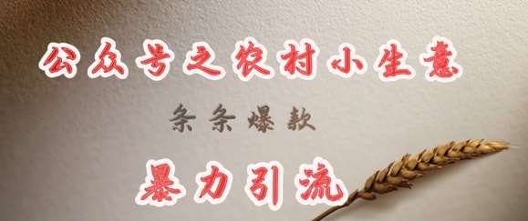 deepseek写农村小项目，条条爆款，暴力引流瀚萌资源网-网赚网-网赚项目网-虚拟资源网-国学资源网-易学资源网-本站有全网最新网赚项目-易学课程资源-中医课程资源的在线下载网站！瀚萌资源网