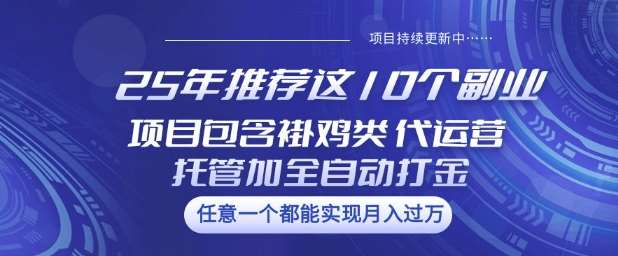 25年推荐这10个副业项目包含褂鸡类、代运营托管类、全自动打金类【揭秘】瀚萌资源网-网赚网-网赚项目网-虚拟资源网-国学资源网-易学资源网-本站有全网最新网赚项目-易学课程资源-中医课程资源的在线下载网站！瀚萌资源网