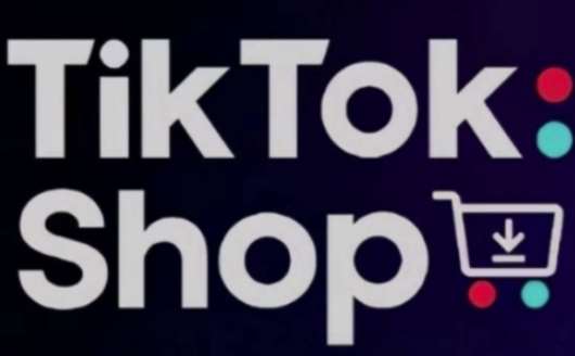 TikTokShop跨境电商0-1实战，手把手教你低成本启动海外市场瀚萌资源网-网赚网-网赚项目网-虚拟资源网-国学资源网-易学资源网-本站有全网最新网赚项目-易学课程资源-中医课程资源的在线下载网站！瀚萌资源网