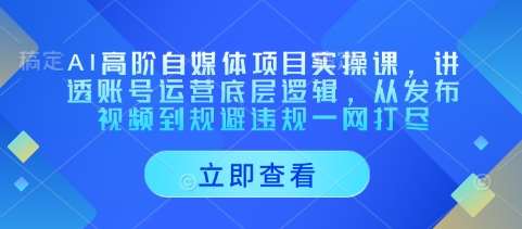 AI高阶自媒体项目实操课，讲透账号运营底层逻辑，从发布视频到规避违规一网打尽瀚萌资源网-网赚网-网赚项目网-虚拟资源网-国学资源网-易学资源网-本站有全网最新网赚项目-易学课程资源-中医课程资源的在线下载网站！瀚萌资源网