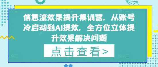 信息流效果提升集训营，从账号冷启动到AI提效，全方位立体提升效果解决问题瀚萌资源网-网赚网-网赚项目网-虚拟资源网-国学资源网-易学资源网-本站有全网最新网赚项目-易学课程资源-中医课程资源的在线下载网站！瀚萌资源网