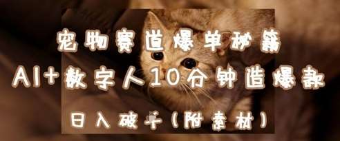 宠物赛道爆单秘籍：AI+数字人10分钟造爆款，日入1k瀚萌资源网-网赚网-网赚项目网-虚拟资源网-国学资源网-易学资源网-本站有全网最新网赚项目-易学课程资源-中医课程资源的在线下载网站！瀚萌资源网