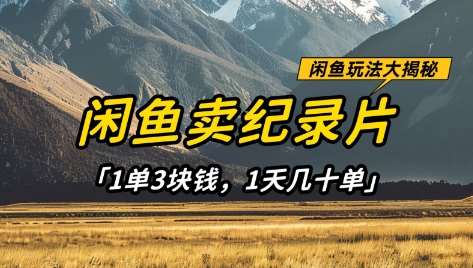 闲鱼卖纪录片1单3块钱，1天几十单，项目稳定有潜力瀚萌资源网-网赚网-网赚项目网-虚拟资源网-国学资源网-易学资源网-本站有全网最新网赚项目-易学课程资源-中医课程资源的在线下载网站！瀚萌资源网