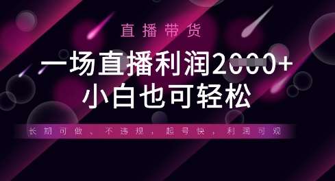 半无人直播带货，一场利润数张，适合所有平台玩法，小白也可轻松瀚萌资源网-网赚网-网赚项目网-虚拟资源网-国学资源网-易学资源网-本站有全网最新网赚项目-易学课程资源-中医课程资源的在线下载网站！瀚萌资源网