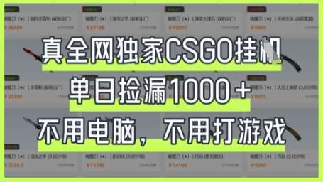 真全网独家CSGO挂G，单日捡漏1k+【揭秘】瀚萌资源网-网赚网-网赚项目网-虚拟资源网-国学资源网-易学资源网-本站有全网最新网赚项目-易学课程资源-中医课程资源的在线下载网站！瀚萌资源网