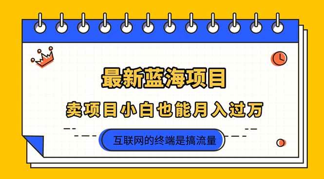 （14289期）2025年最新蓝海项目，卖项目小白也能月入过万瀚萌资源网-网赚网-网赚项目网-虚拟资源网-国学资源网-易学资源网-本站有全网最新网赚项目-易学课程资源-中医课程资源的在线下载网站！瀚萌资源网