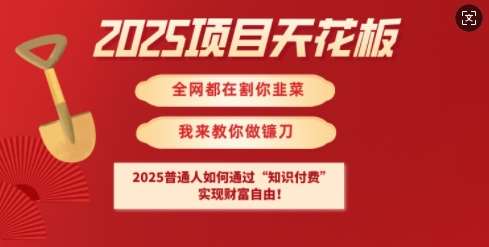 2025项目天花板普通人如何通过知识付费,实现财F自由【揭秘】瀚萌资源网-网赚网-网赚项目网-虚拟资源网-国学资源网-易学资源网-本站有全网最新网赚项目-易学课程资源-中医课程资源的在线下载网站!瀚萌资源网