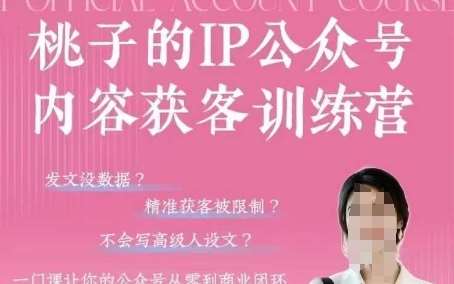 桃子IP公众号内容获客训练营(第3期)，一门让你公众号从0到商业闭环的课程瀚萌资源网-网赚网-网赚项目网-虚拟资源网-国学资源网-易学资源网-本站有全网最新网赚项目-易学课程资源-中医课程资源的在线下载网站！瀚萌资源网