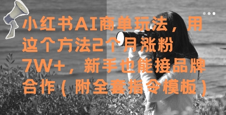 小红书AI商单玩法，用这个方法2个月涨粉7W+，新手也能接品牌合作(附全套指令模板)瀚萌资源网-网赚网-网赚项目网-虚拟资源网-国学资源网-易学资源网-本站有全网最新网赚项目-易学课程资源-中医课程资源的在线下载网站！瀚萌资源网