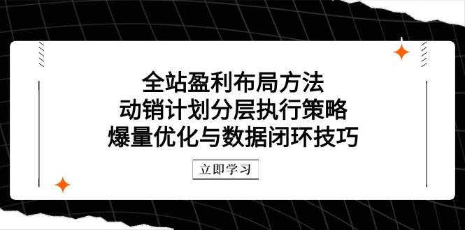 （14698期）全站盈利布局方法：动销计划分层执行策略，爆量优化与数据闭环技巧瀚萌资源网-网赚网-网赚项目网-虚拟资源网-国学资源网-易学资源网-本站有全网最新网赚项目-易学课程资源-中医课程资源的在线下载网站！瀚萌资源网