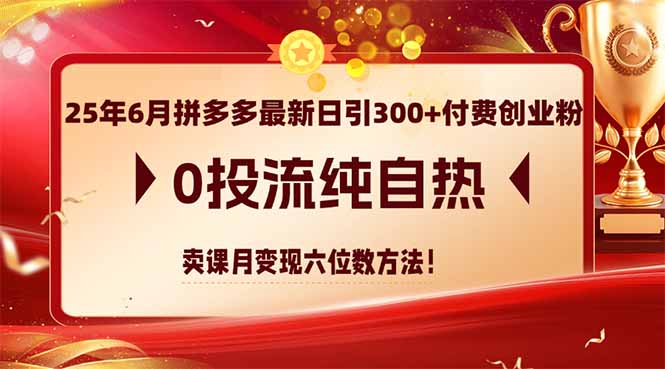 （14989期）25年6月拼多多最新日引300+付费创业粉，0投流纯自热 卖课月变现六位数方法瀚萌资源网-网赚网-网赚项目网-虚拟资源网-国学资源网-易学资源网-本站有全网最新网赚项目-易学课程资源-中医课程资源的在线下载网站！瀚萌资源网