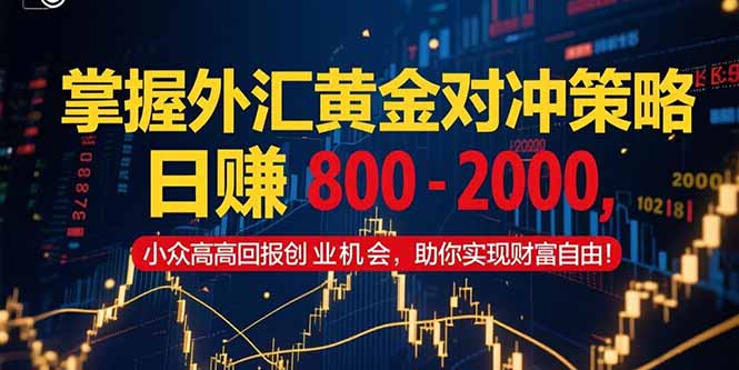 (15198期)掌握外汇黄金对冲策略,日赚 800 – 2000,小众高回报创业机会,助你实…瀚萌资源网-网赚网-网赚项目网-虚拟资源网-国学资源网-易学资源网-本站有全网最新网赚项目-易学课程资源-中医课程资源的在线下载网站!瀚萌资源网