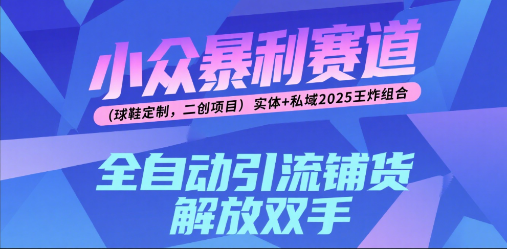 楠—小众暴利赛道（球鞋定制，二创项目）实体+私域2025王炸组合瀚萌资源网-网赚网-网赚项目网-虚拟资源网-国学资源网-易学资源网-本站有全网最新网赚项目-易学课程资源-中医课程资源的在线下载网站！瀚萌资源网