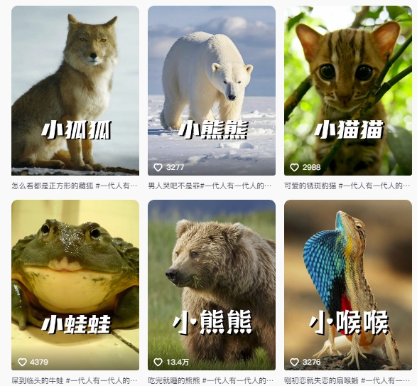 图片[2]瀚萌资源网-网赚网-网赚项目网-虚拟资源网-国学资源网-易学资源网-本站有全网最新网赚项目-易学课程资源-中医课程资源的在线下载网站！最新搞笑动物百科详细解说课程，蓝海赛道，流量非常大，轻松签独家进精选瀚萌资源网-网赚网-网赚项目网-虚拟资源网-国学资源网-易学资源网-本站有全网最新网赚项目-易学课程资源-中医课程资源的在线下载网站！瀚萌资源网