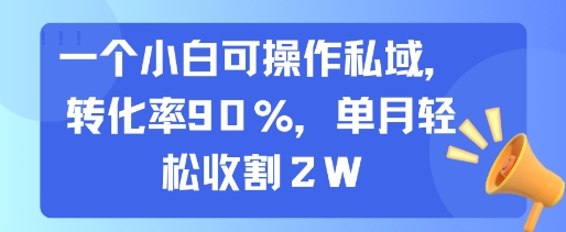 一个小白可操作私域，转化率90%，单月轻松收割2W瀚萌资源网-网赚网-网赚项目网-虚拟资源网-国学资源网-易学资源网-本站有全网最新网赚项目-易学课程资源-中医课程资源的在线下载网站！瀚萌资源网