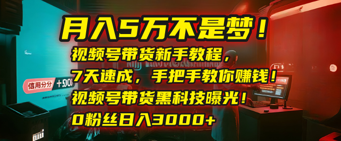 月入5万不是梦!视频号带货新手教程,7天速成,手把手教你赚钱!视频号带货黑科技曝光!0粉丝日入3000+瀚萌资源网-网赚网-网赚项目网-虚拟资源网-国学资源网-易学资源网-本站有全网最新网赚项目-易学课程资源-中医课程资源的在线下载网站!瀚萌资源网
