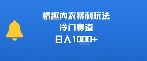 情趣内衣暴利玩法，冷门赛道，日入1k+瀚萌资源网-网赚网-网赚项目网-虚拟资源网-国学资源网-易学资源网-本站有全网最新网赚项目-易学课程资源-中医课程资源的在线下载网站！瀚萌资源网